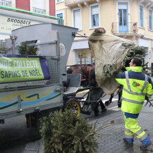 Hypocollecte à WIMEREUX