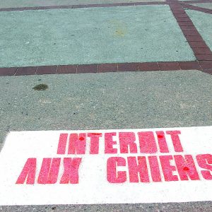 Trottoirs pas crottoirs à WIMEREUX