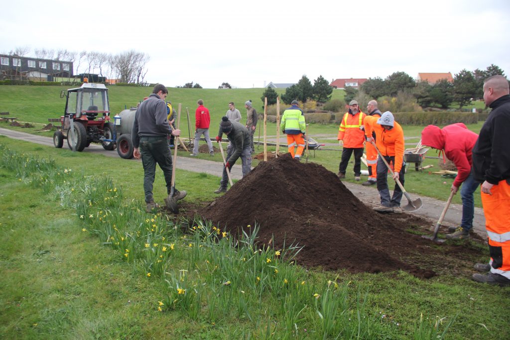 Plantations arbres rotary club wimereux