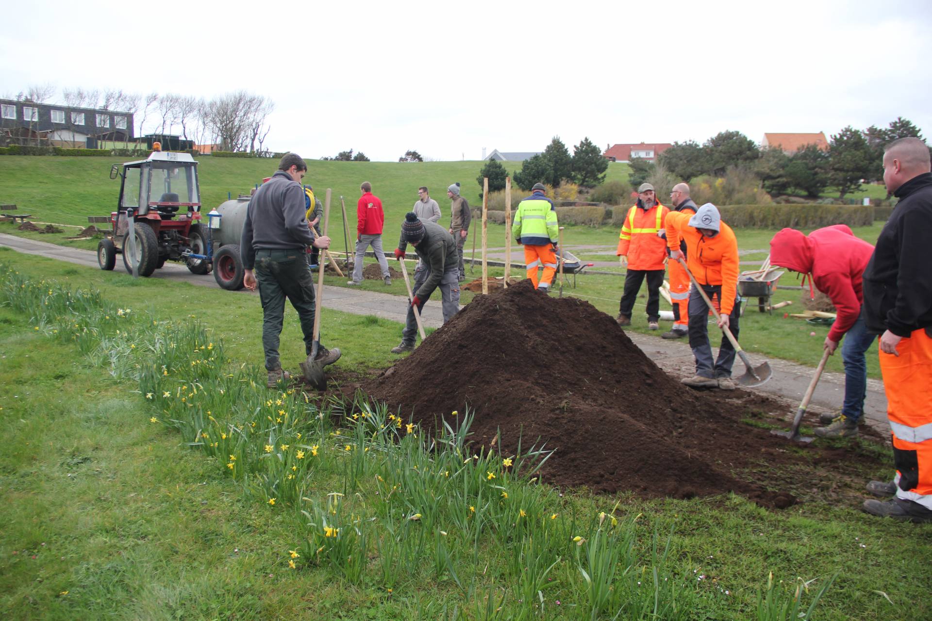 Plantations arbres rotary club wimereux