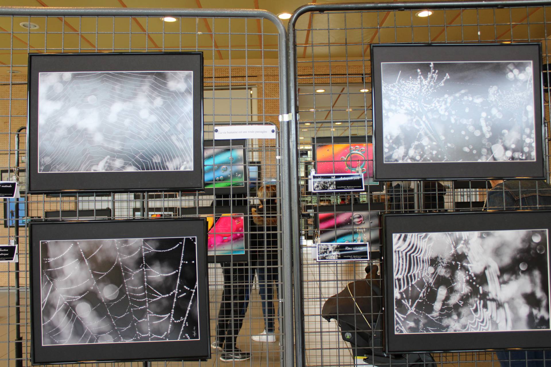 2019 expo pixel wimereux